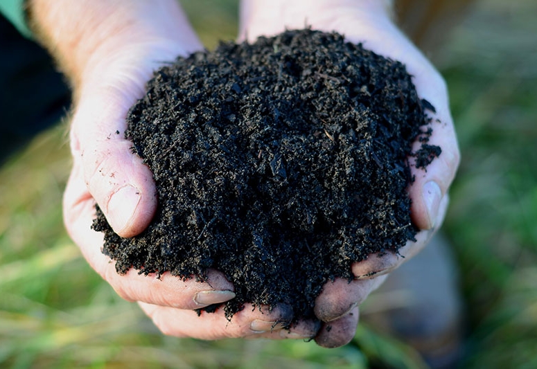 Field No.15 Vegetable Planting Topsoil