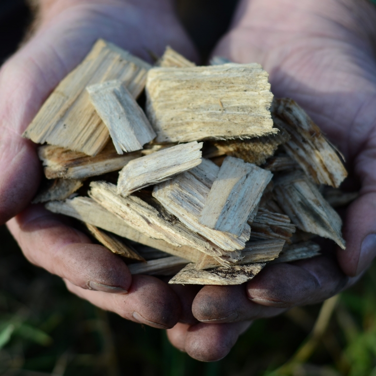 Field No.10 Pathway Woodchip