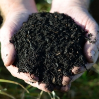 High Quality Peat Free Growbag