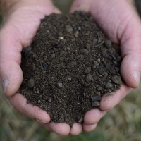 Field No.26 Turfing Soil