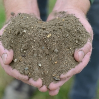 Field No.30 Wildflower Soil