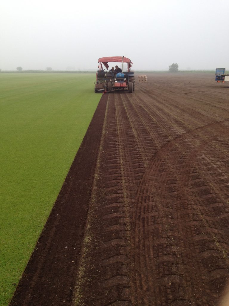 Turf and Grass Seed Field Compost