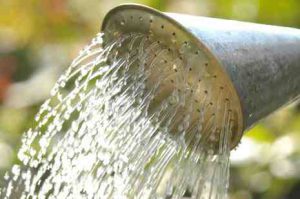 Watering can