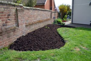 Enough manure to renovate one of the back garden borders as well.