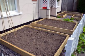 Raised beds prepared and ready for organic matter.