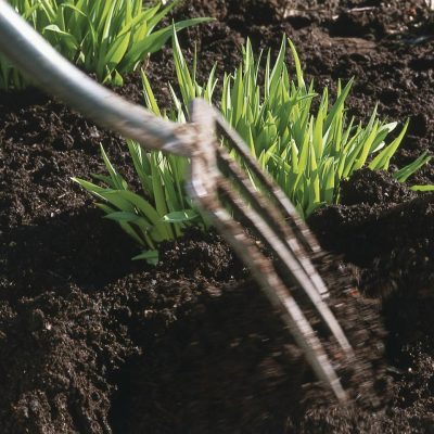 Transitioning to peat free gardening