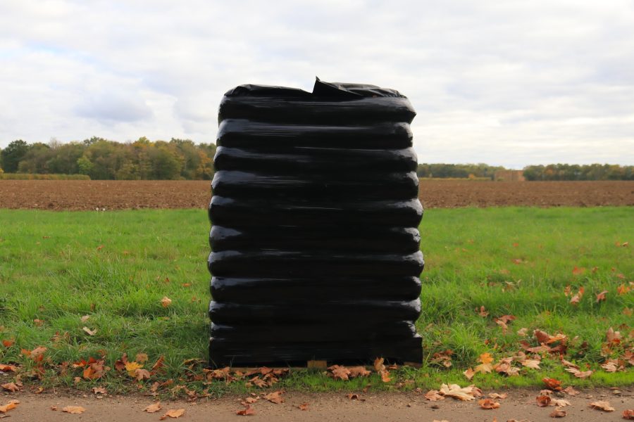 Field No.24 Ericaceous Soil Improver - Image 7
