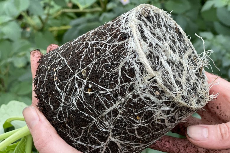 Composts and Soil Improvers