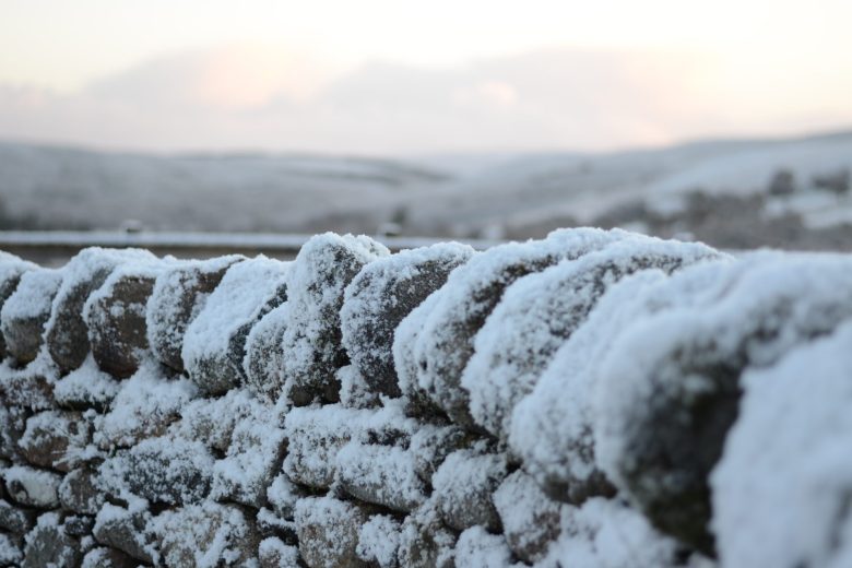 Winter gardening tips