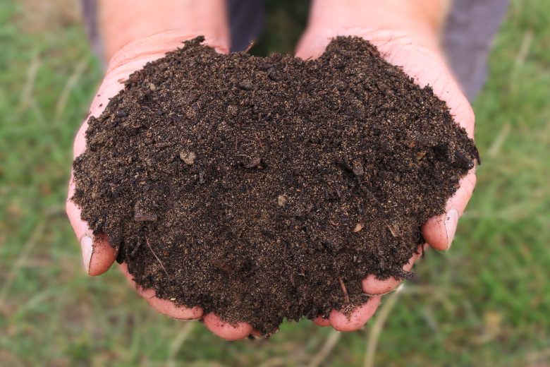 Field No.15 Vegetable Planting Topsoil