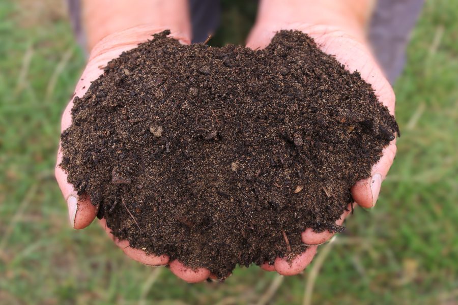 Field No.15 Vegetable Planting Topsoil