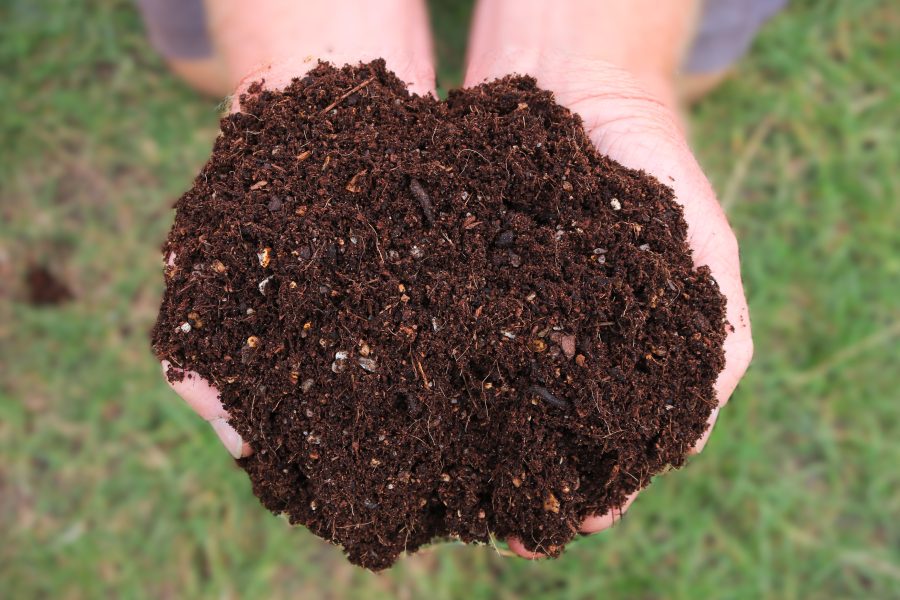 Field No.23 Peat Free Professional Potting Blend