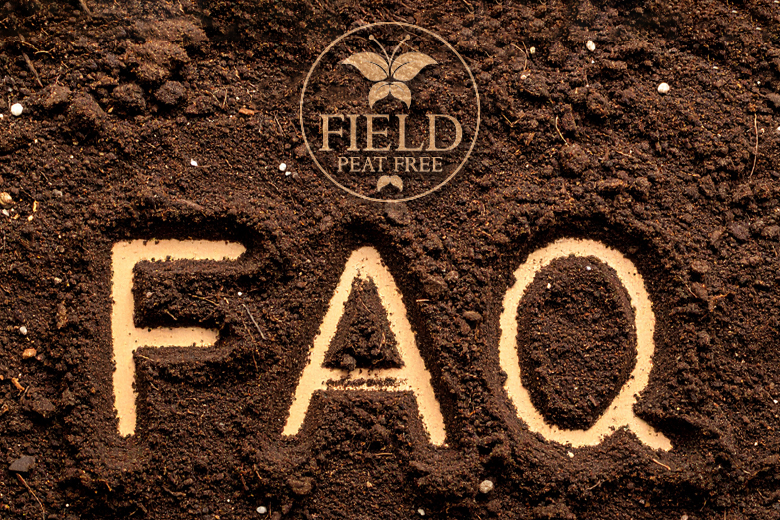 FAQs