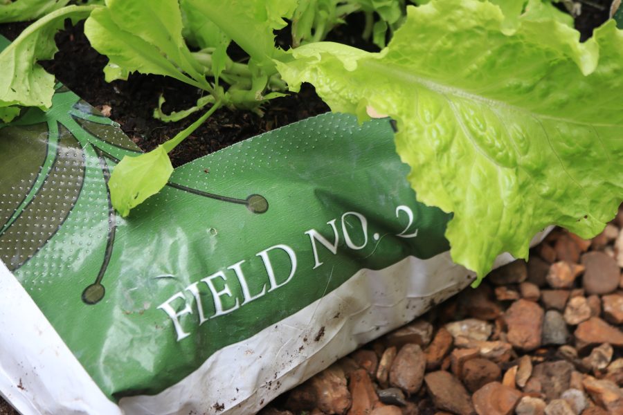 Field No. 2 High Quality Peat Free Growbag - Image 3
