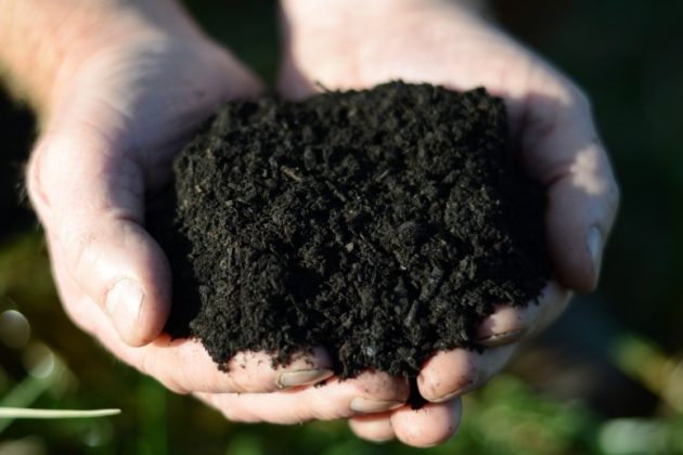 Field No.1 Organic Soil Improver