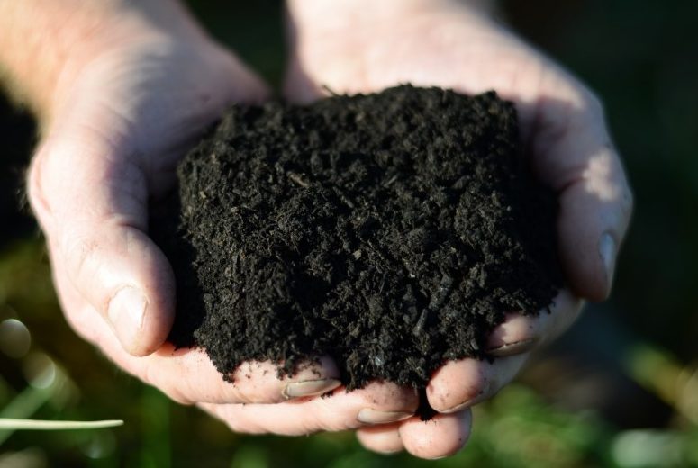 Field No.1 Organic Soil Improver