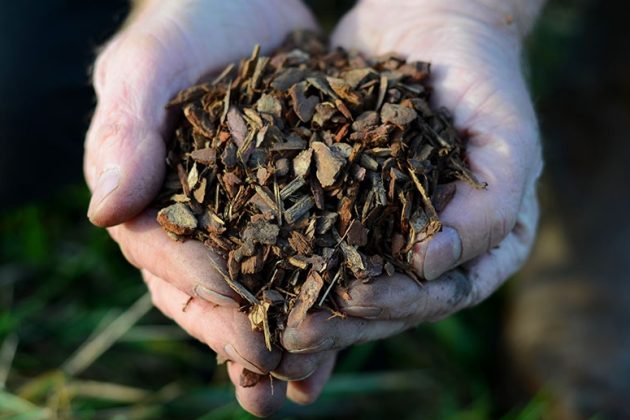 Field No.11 Pot Mulch