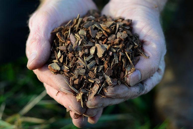 Field No.11 Pot Mulch