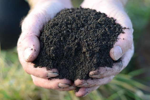 Field No.21 High Quality Planting Topsoil