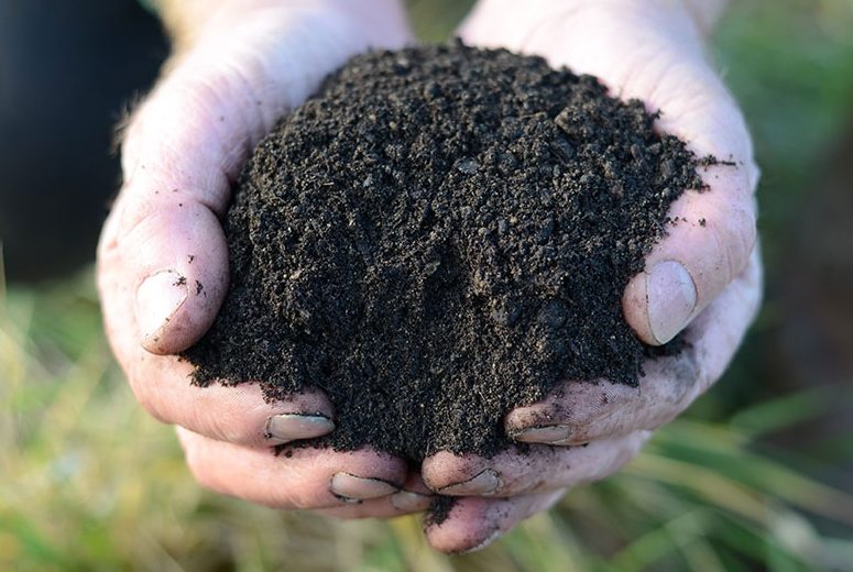 Field No.21 High Quality Planting Topsoil