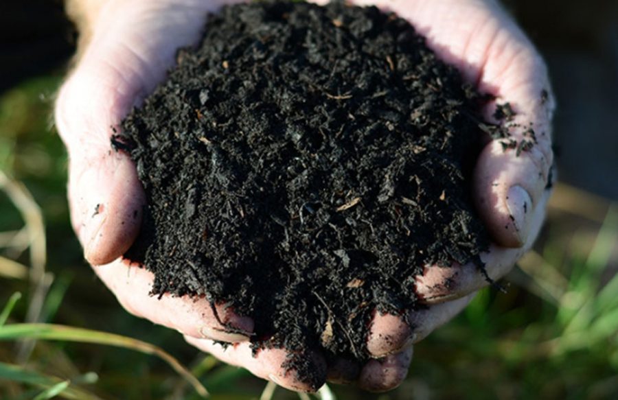 Field no.2 high quality peat free growbag