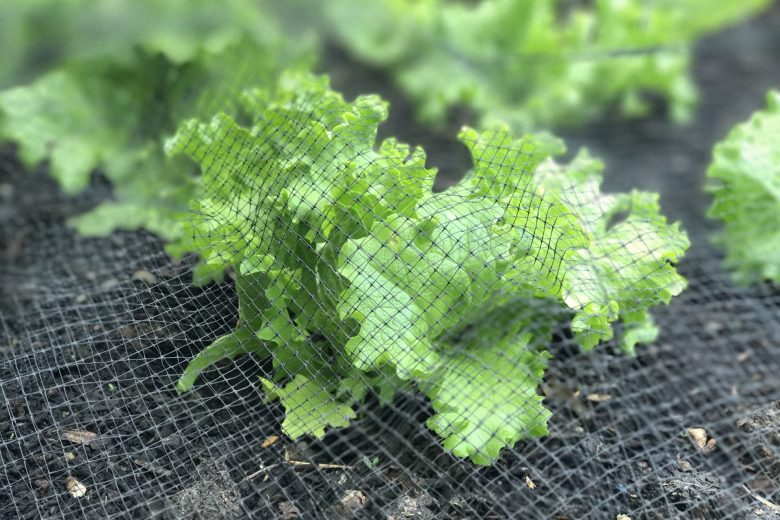 April gardening tips