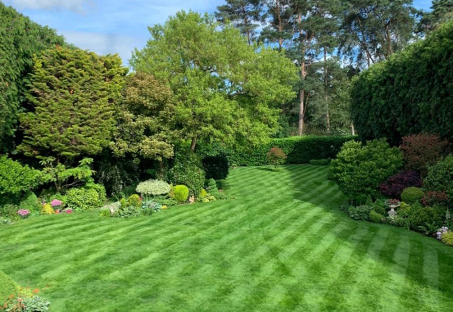 Great Value Lawn Care Bundles - Image 4