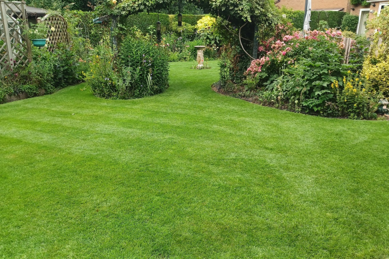 Lawn Care
