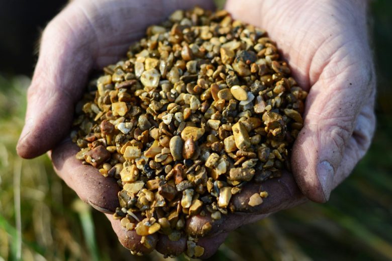 Field No.20 Horticultural Grit