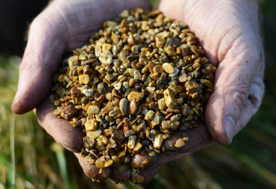 Field No.20 Horticultural Grit