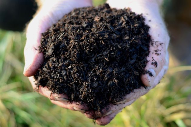 Field No.24 Ericaceous Soil Improver