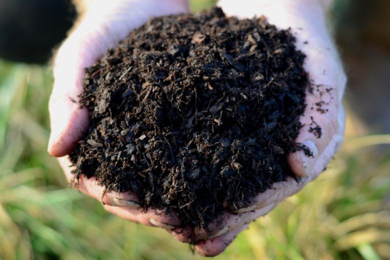 Field No.24 Ericaceous Soil Improver