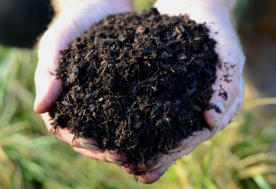 Field No.24 Ericaceous Soil Improver