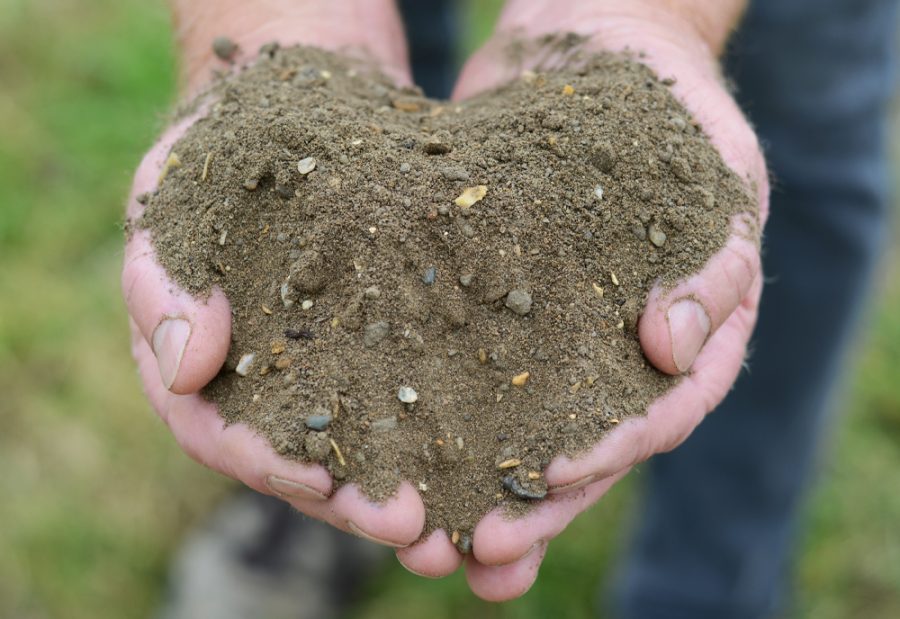 Field No.30 Wildflower Soil