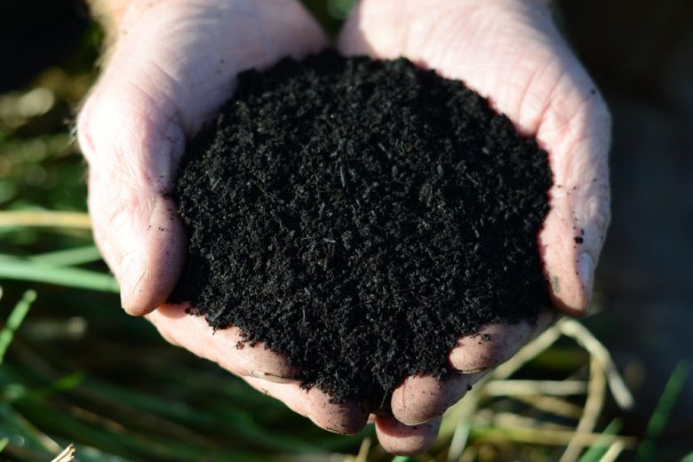 Field No.4 Organic Fine Grade Lawn Dressing