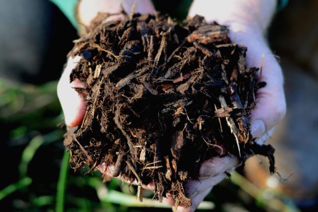 Field No.8 Ornamental Bark Mulch