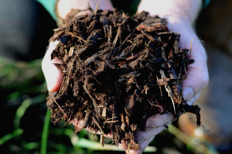 Field No.8 Ornamental Bark Mulch