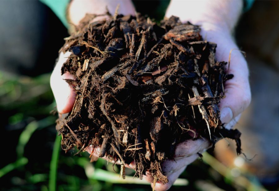 Field No.8 Ornamental Bark Mulch