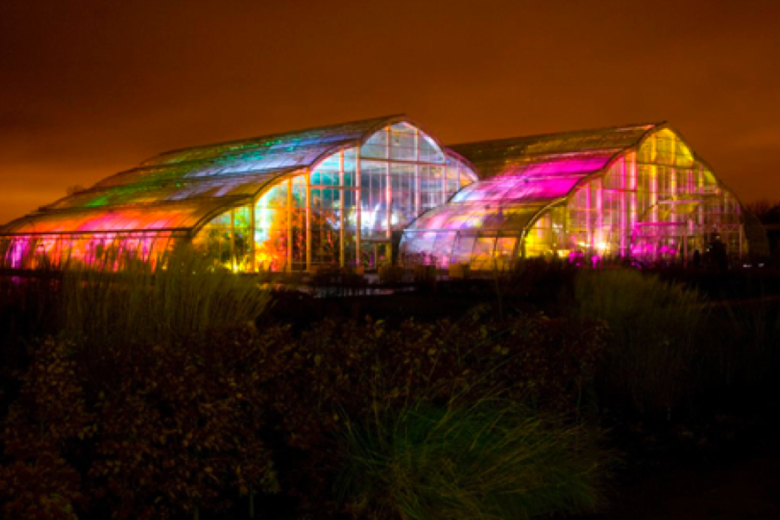 RHS Garden Wisley Christmas Glow