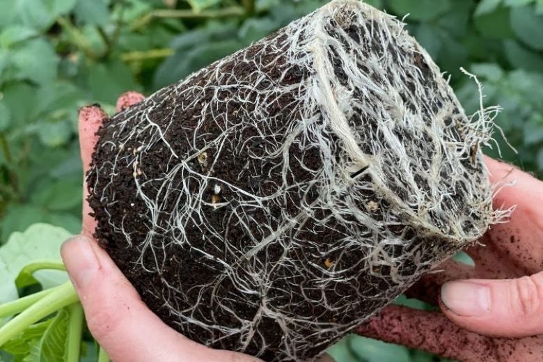 Field Compost quality guaranteed