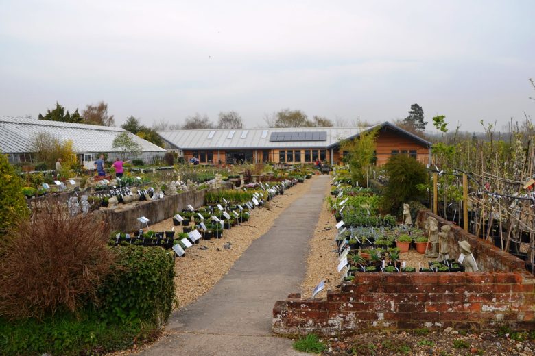 Sturmer Nurseries