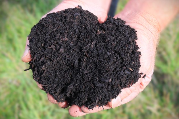 Field No.16 Tree and Shrub Soil Improver