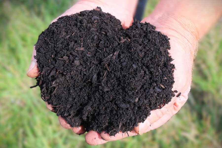 Field No.16 Tree and Shrub Soil Improver