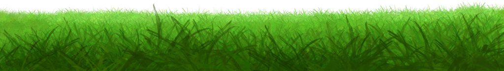 lawn