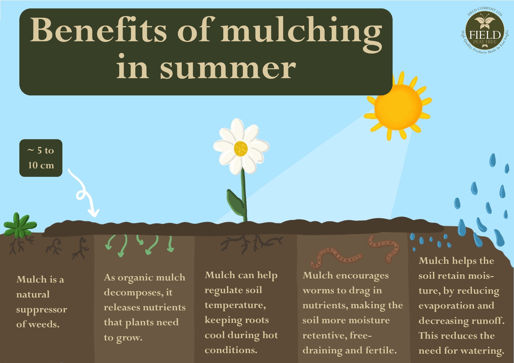 Diagram and information showing how mulching can help your soil and plants in the summer.