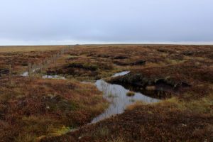 A peat bog prior to mining