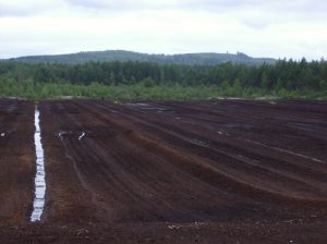A peat bog destroyed by mining